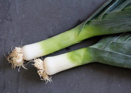 Planting Leeks Image